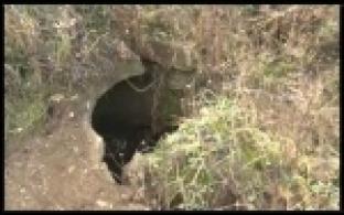 Открытый колодец в поле обнаружили жители Динаса