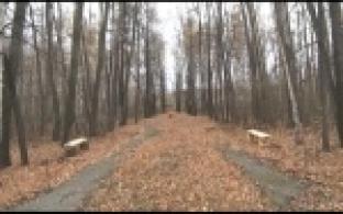 Жители Магнитки планируют благоустроить местный парк