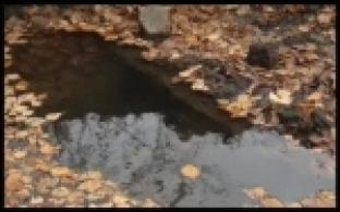 На улице Вайнера образовалось озеро с теплой водой