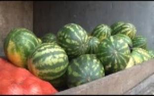 Уличные торговые точки проверяла комиссия из администрации