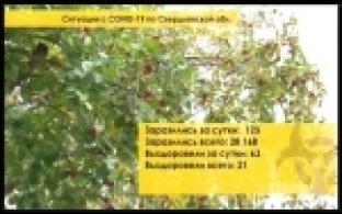 Ситуация с коронавирусом в регионе за последние сутки