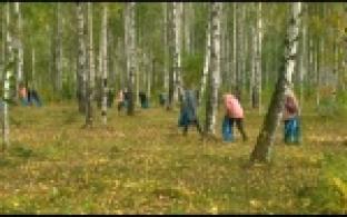 В Корабельной роще провели субботник