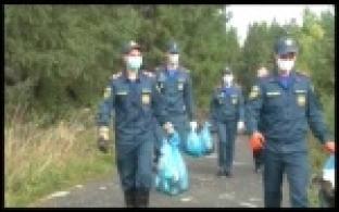 Спасатели и пожарные устроили субботник в лесу