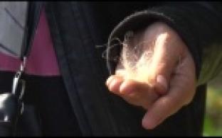 Выпадают волосы после парикмахерской