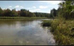 Природоохранная прокуратура выяснит причину загрязнения Чусовой