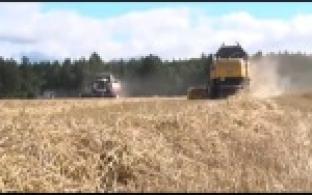 В сельхозкооперативах стартовала уборочная кампания