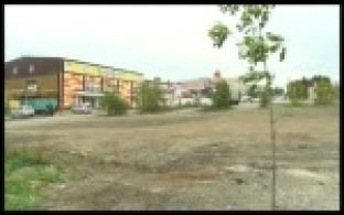 Сельхоз ярмарки возобновят работу и переедут на новое место