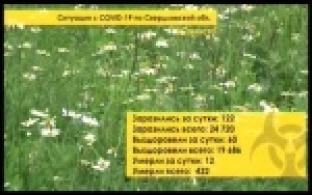 Ситуация с коронавирусом за прошедшие сутки