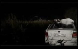 На трассе Пермь-Екатеринбург автомобиль сбил дикого лося