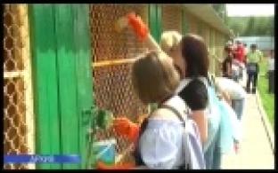 Волонтеры проведут субботник в первоуральском приюте для животных
