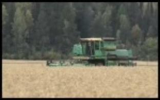 Метеорологи обещают возвращение тепла на Урал