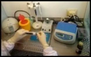 В Первоуральске заработала своя лаборатория для тестирования на COVID-19