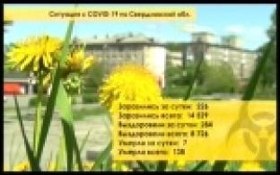 Еще у пяти первоуральцев подтвержден коронавирус