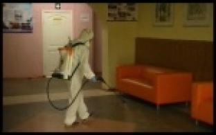 Первоуральские школы обрабатывают перед проведением ЕГЭ