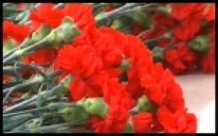 Акция "Свеча памяти" прошла в онлайн-формате в День памяти и скорби