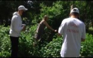 Эковолонтеры помогли юной первоуралочке посадить собственное дерево