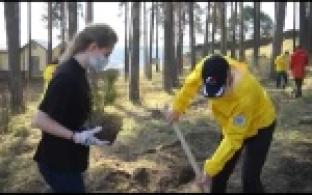 Активисты Совета молодежи ПНТЗ высадили деревья в Билимбаевской роще