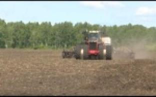 Уральские сельскохозяйственники заканчивают посевную кампанию раньше обычного