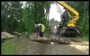 На Магнитке начали кронировать старые тополя