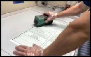 В области готовят бюллетени для голосования по поправкам в Конституцию