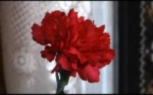 Будущие белые металлурги поздравили ветеранов войны