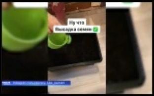 Первоуральцы делятся садоводческими успехами в соцсетях