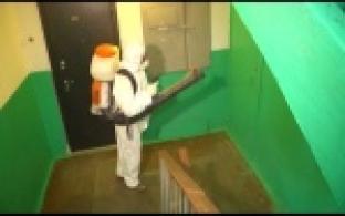 Подъезды в домах начали обрабатывать с помощью опрыскивателей