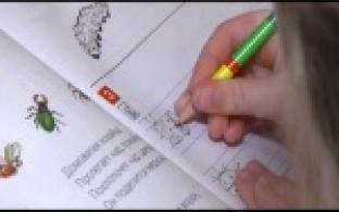 Первоуральцы поделились, чем займутся во время карантина