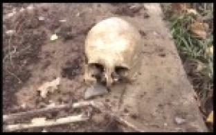 Следователи установили принадлежность черепа, найденного на теплотрассе