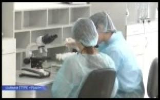 Уральские ученые выводят устойчивые к болезням овощные культуры