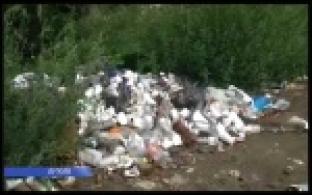Свалки в Свердловской области будут ликвидированы