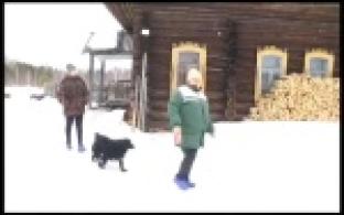 Уральские почтальоны получат отпугиватели собак