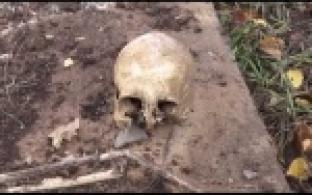 Человеческий череп обнаружили в одном из дворов Первоуральска