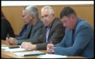 Общественники предлагают запретить вырубку леса вокруг города