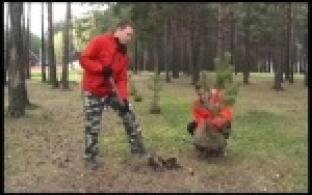 В Парке новой культуры высадили деревья