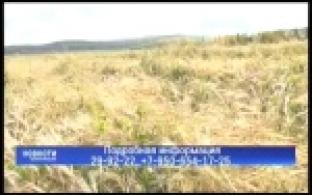 Первоуральцев просят помочь совхозу убрать урожай