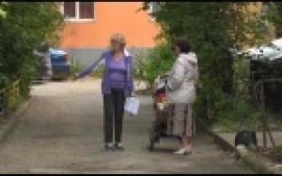 Жители ул. Герцена просят благоустроить двор