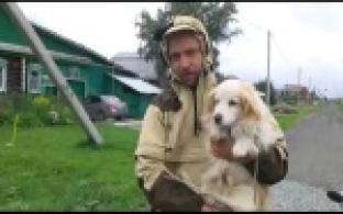 Волонтеры ОЗЖ начали отлов собак
