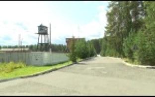 Колония в Старых Решетах