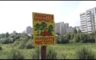 Добровольцы убрали мусор в лесу
