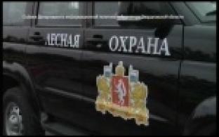 Внедорожники для охраны уральских лесов