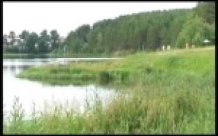 Специалисты назвали безопасные пляжи