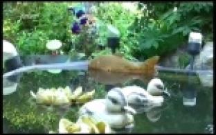 Принимаются заявки на конкурс «Образцовый дом»