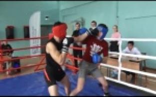 Боксерский турнир имени С.Романова