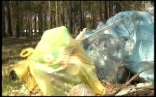 В выходные в городе пройдут «Чистые игры»
