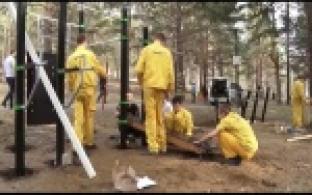 Студенты собрали спортивную площадку в парке
