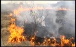 Пожар в лесу в районе Шайтанки