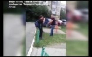 За публичную порку - штраф