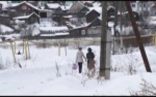 Собаки нападают на людей в поселках