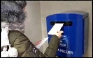 «МОПСы» и день всех влюбленных